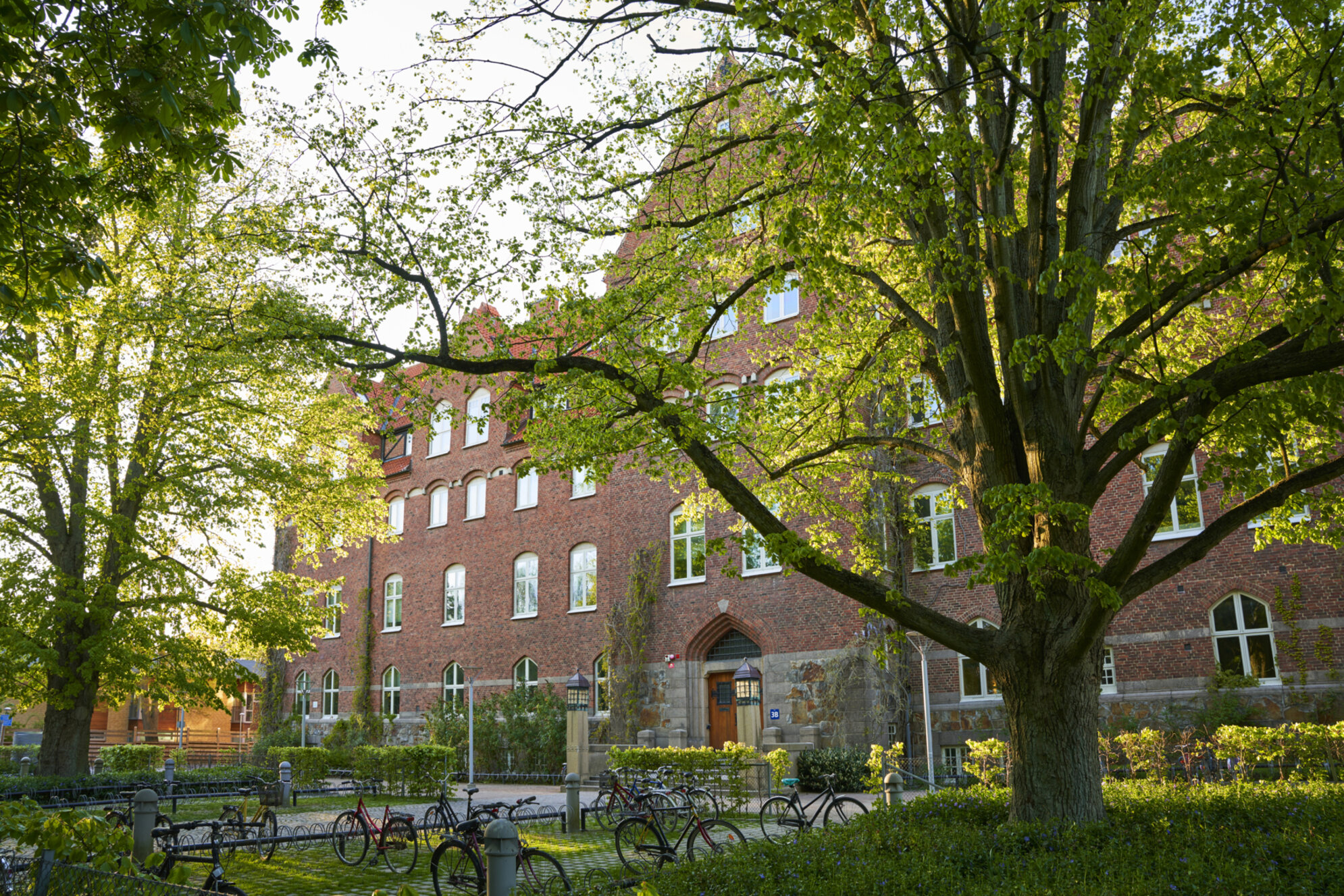 LUX building and trees